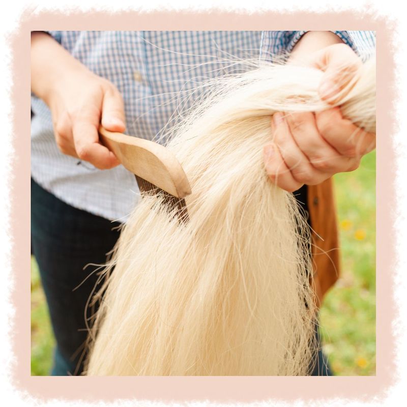 Fall/Winter Tail Care Tips for Horse Owners Carter Veterinary Servi